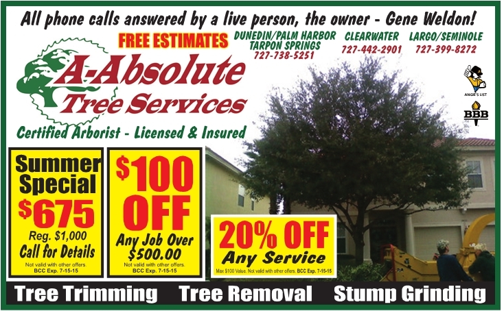 Coupon for A-Absolute Tree Services